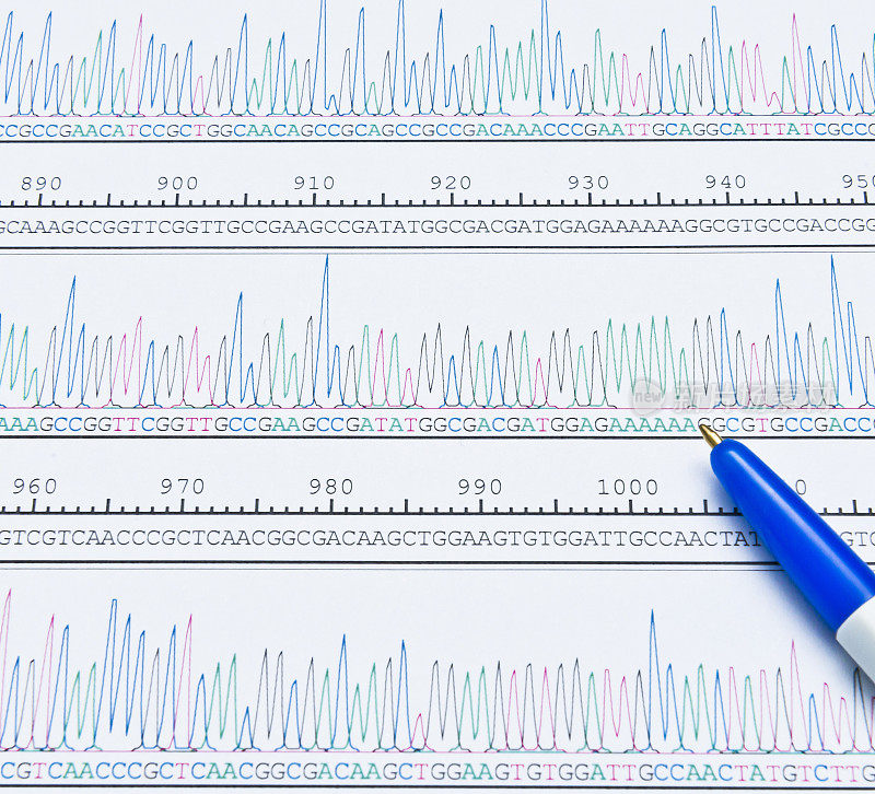 PCR DNA序列分析色谱峰